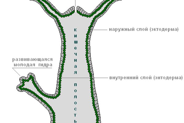 Как правильно пользоваться сайтом блэкспрут