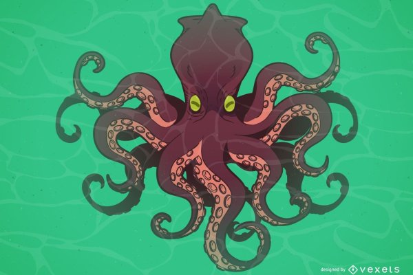 Как правильно зайти на kraken