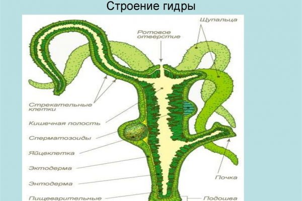 Как зарегаться на блэкспрут